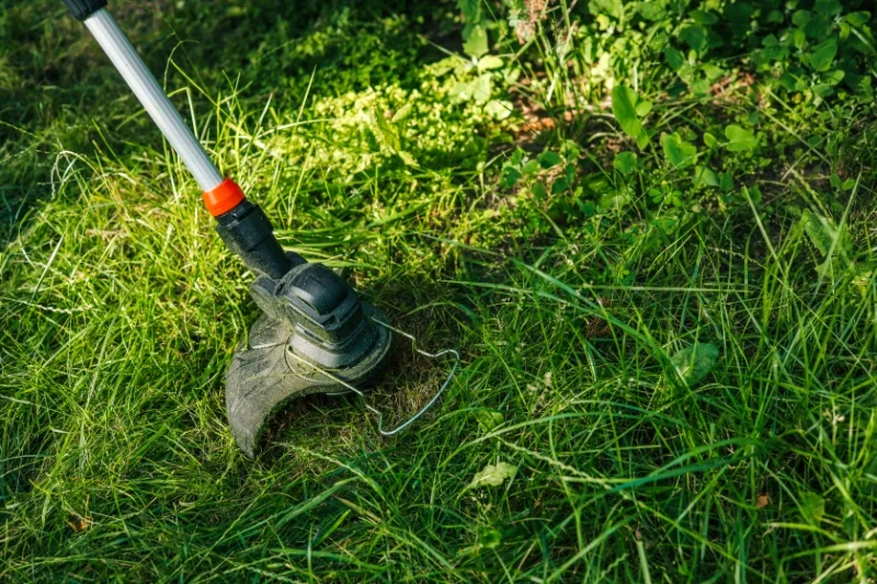 menditxuri-jardineria-2